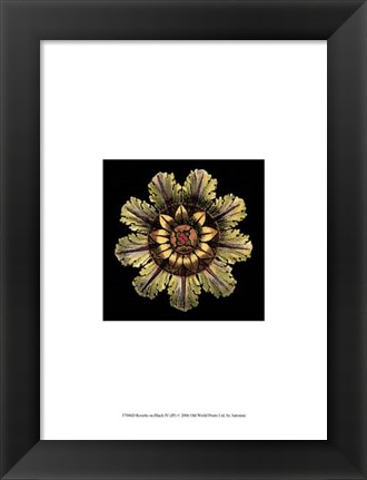 Framed Rosette on Black IV Print