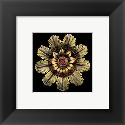 Framed Rosette on Black IV Print