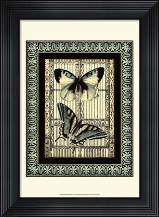 Framed Small Butterfly Fancy I Print