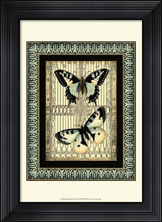 Framed Small Butterfly Fancy II Print