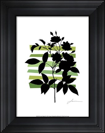 Framed Color Shade II Print