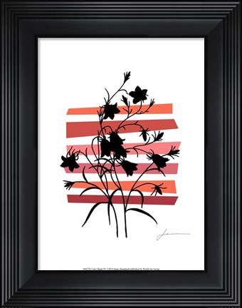 Framed Color Shade IV Print