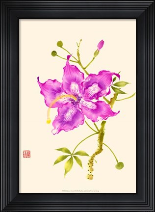 Framed Hibiscus Flower I Print