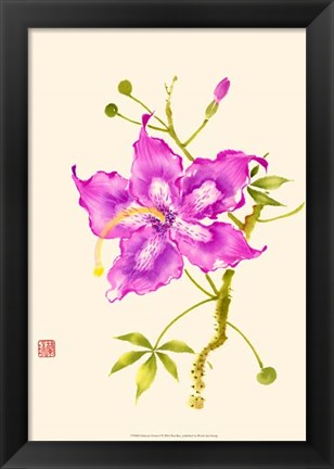 Framed Hibiscus Flower I Print