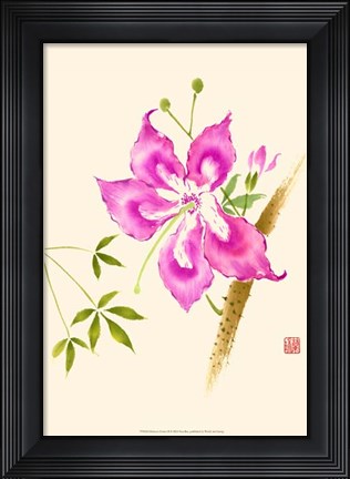 Framed Hibiscus Flower II Print