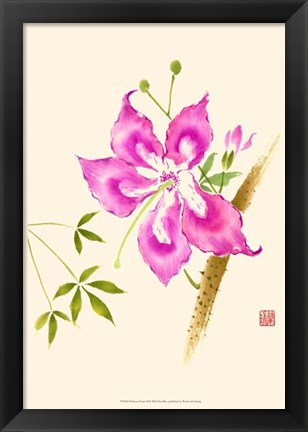 Framed Hibiscus Flower II Print