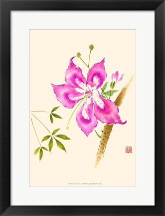 Framed Hibiscus Flower II Print