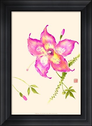Framed Hibiscus Flower III Print