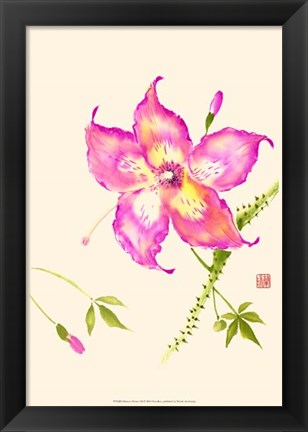 Framed Hibiscus Flower III Print