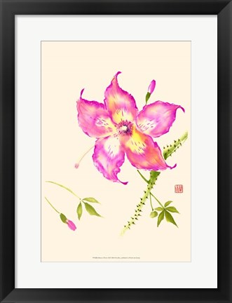 Framed Hibiscus Flower III Print