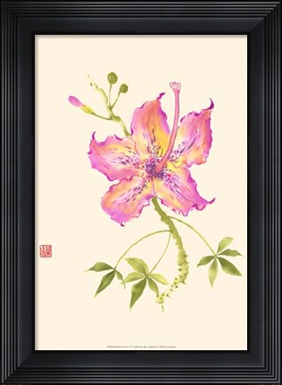 Framed Hibiscus Flower IV Print