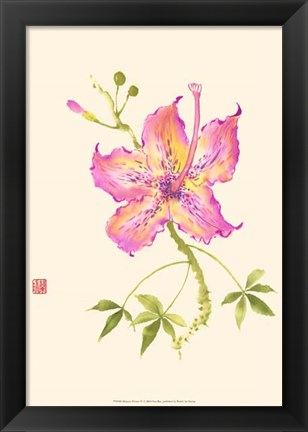 Framed Hibiscus Flower IV Print
