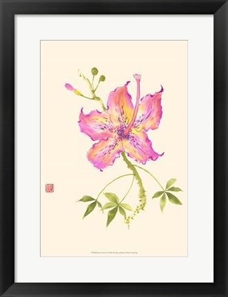 Framed Hibiscus Flower IV Print