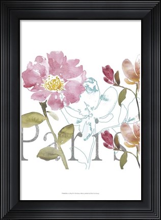 Framed Paris by Day II Print