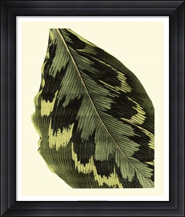 Framed Grandiose Leaves I Print