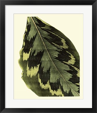 Framed Grandiose Leaves I Print