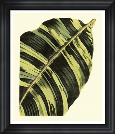 Framed Grandiose Leaves II Print