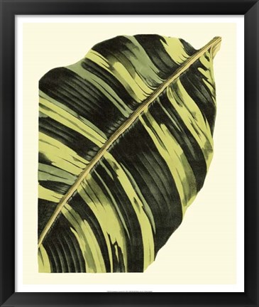 Framed Grandiose Leaves II Print