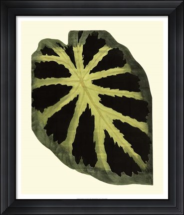 Framed Grandiose Leaves III Print