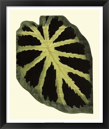 Framed Grandiose Leaves III Print