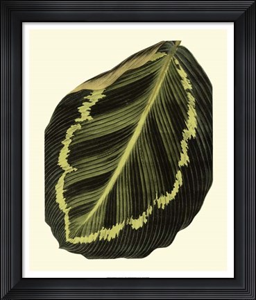 Framed Grandiose Leaves IV Print