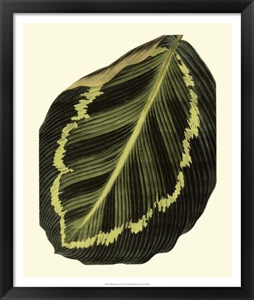 Framed Grandiose Leaves IV Print