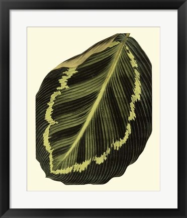 Framed Grandiose Leaves IV Print