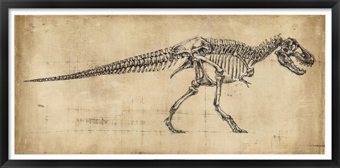 Framed Tyrannosaurus Rex Study Print
