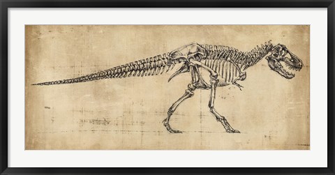 Framed Tyrannosaurus Rex Study Print