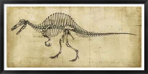 Framed Spinosaurus Study Print