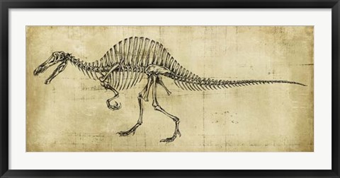 Framed Spinosaurus Study Print