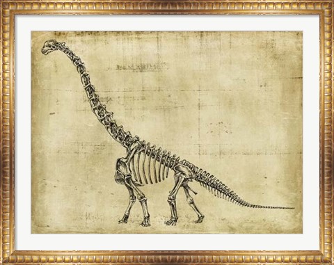 Framed Brachiosaurus Study Print
