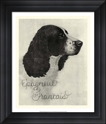Framed B&amp;W E&#39;pagneul Francais Print