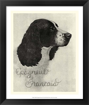 Framed B&amp;W E&#39;pagneul Francais Print