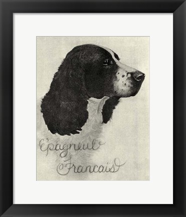 Framed B&amp;W E&#39;pagneul Francais Print