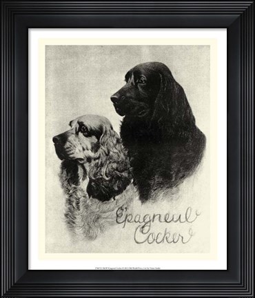 Framed B&amp;W E&#39;pagneul Cocker Print