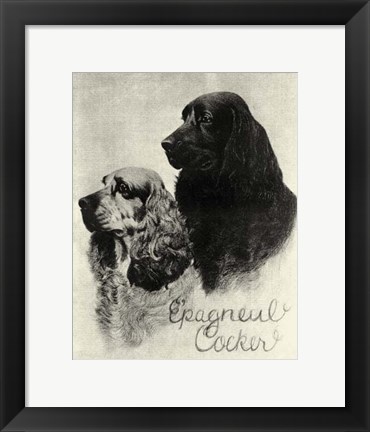 Framed B&amp;W E&#39;pagneul Cocker Print