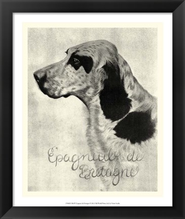 Framed B&amp;W E&#39;pagneul de Bretagne Print