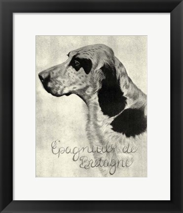 Framed B&amp;W E&#39;pagneul de Bretagne Print