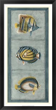 Framed Tropical Fish Trio I Print