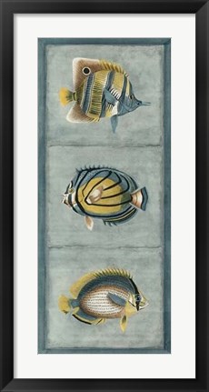 Framed Tropical Fish Trio I Print