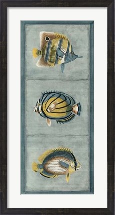 Framed Tropical Fish Trio I Print