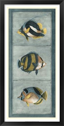 Framed Tropical Fish Trio II Print