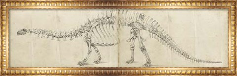 Framed Dinosaur Study I Print