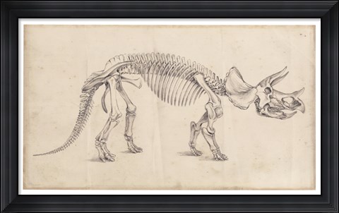 Framed Dinosaur Study II Print