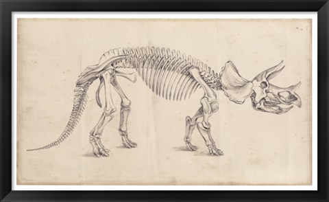 Framed Dinosaur Study II Print