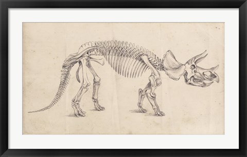 Framed Dinosaur Study II Print