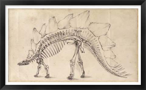 Framed Dinosaur Study III Print