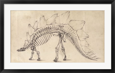 Framed Dinosaur Study III Print