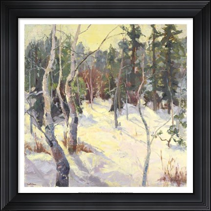 Framed Four Seasons Aspens IV Print